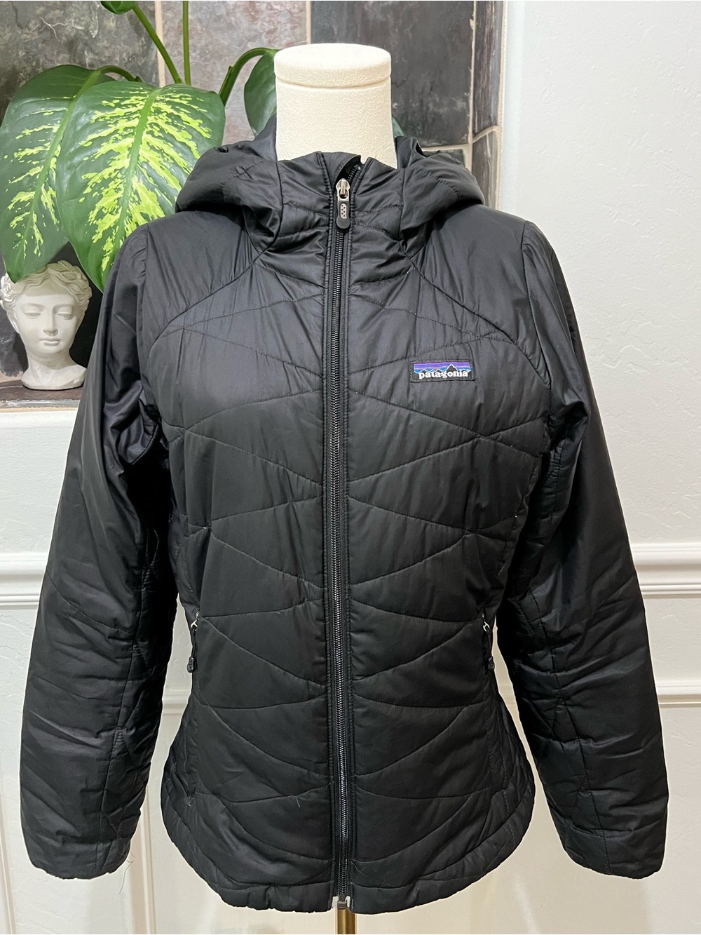 Patagonia Women's Micro Puff Quilted
Hooded Jacket Size XS